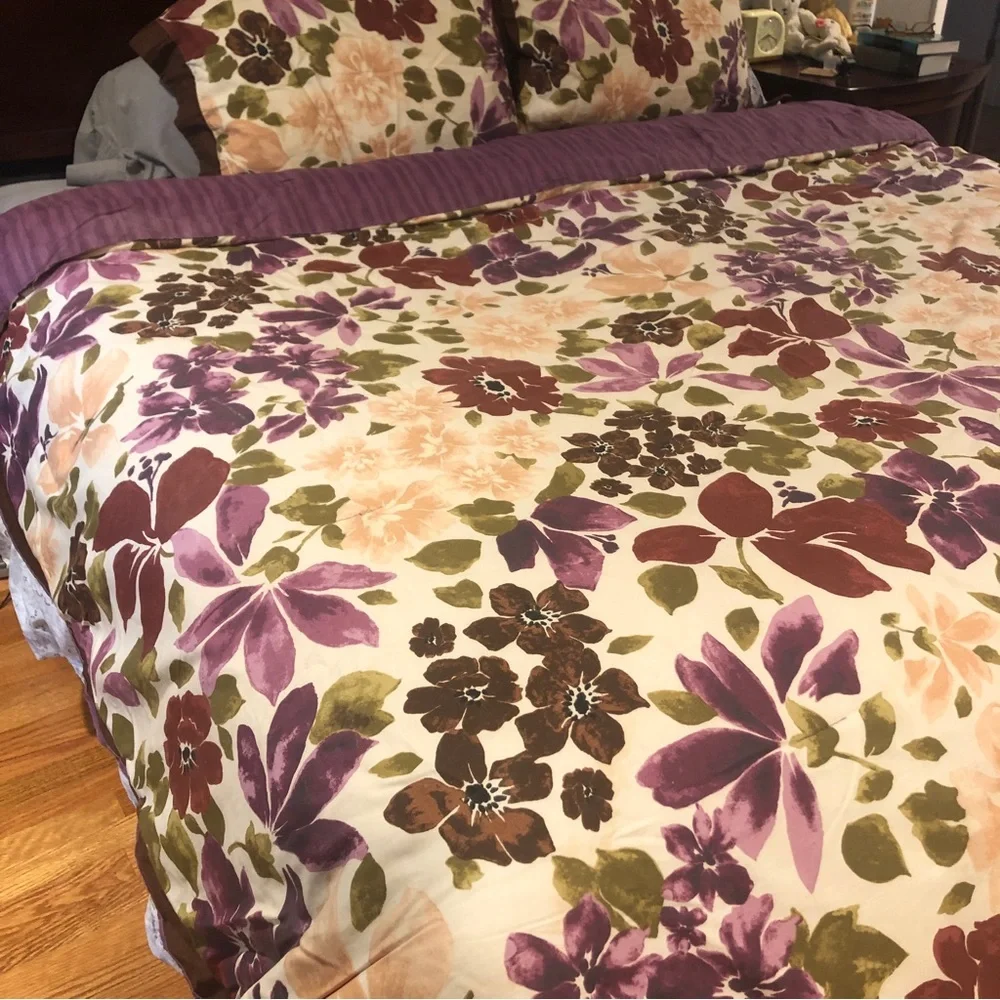 Queen comforter and 2 shams